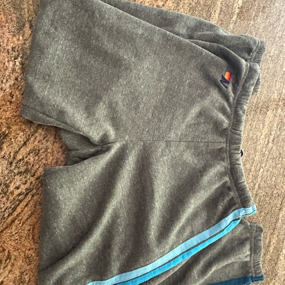 Aviator Nation 5 Stripe Gray sweatpants